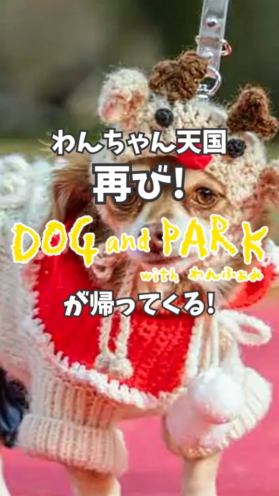 わんふぁみの動画アイキャッチ画像01