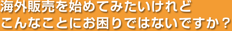 海外販売を始めてみたいけれどこんなことにお困りではないですか？