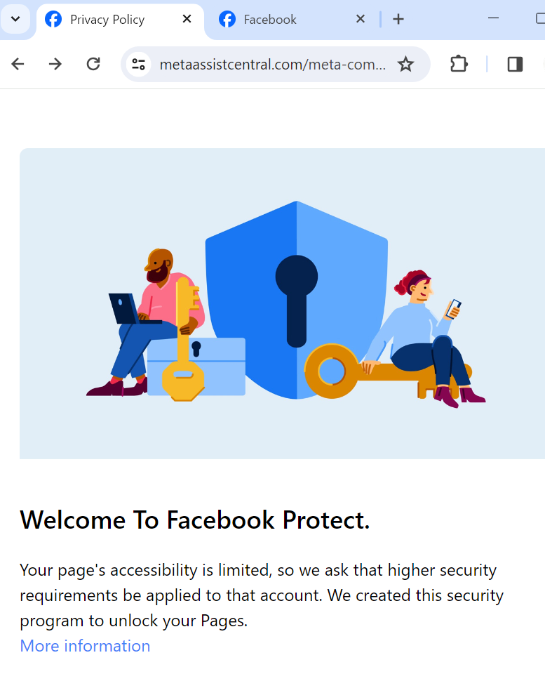 フィッシングサイトと思われるページのキャプチャ画像1