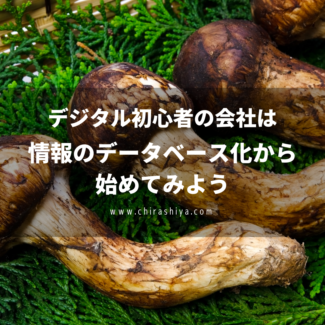 アナログからデジタルへの移行を考えている段階の会社は、まず情報のデータ化から。