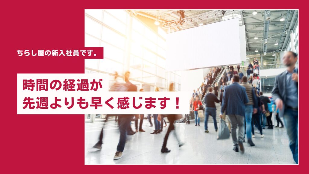 仕事にも少しずつ慣れてきました！